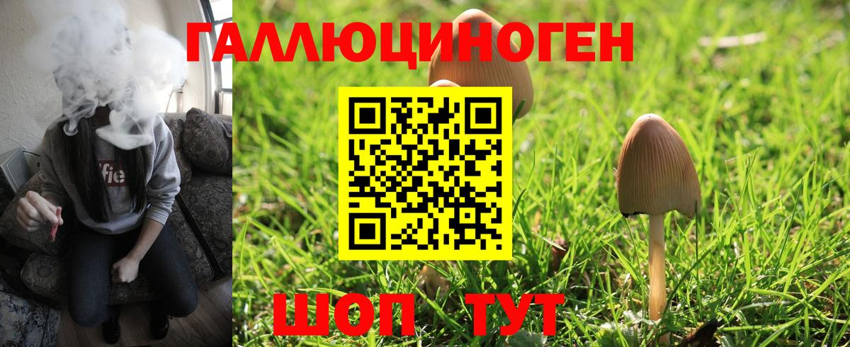 Тайшет  Галлюциногенные грибы мухоморы  Вход с VPN 