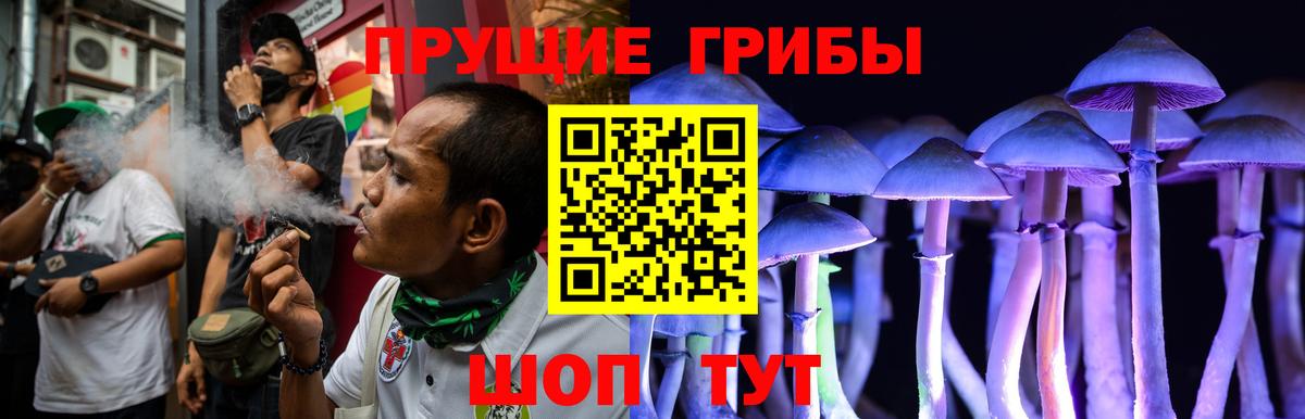 Галлюциногенные грибы Magic Shrooms Тайшет